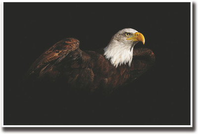 

Amazing Eagle Fine Art Print(12 inch X 18 inch, Rolled)