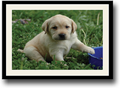 

Cute Dog with Blue bowl Fine Art Print(10 inch X 14 inch, Framed)