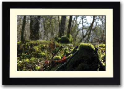 

Branch of tree Fine Art Print(14 inch X 20 inch, Framed)