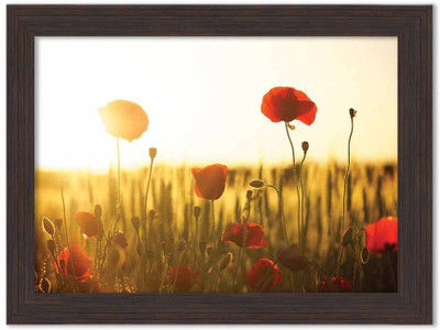 Flowers Themed Framed Poster Photographic Paper(13.5 inch X 10 inch, Box Packing)