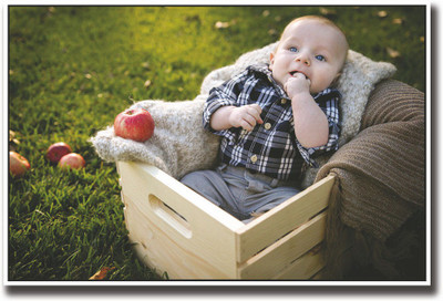 

Cute baby in apple crate Fine Art Print(12 inch X 18 inch, Rolled)