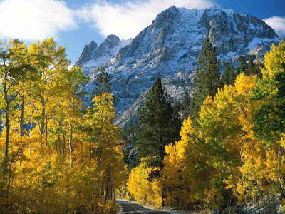 

Posterhouzz Autumn Fine Art Print Poster Fine Art Print(12 inch X 18 inch, Rolled)