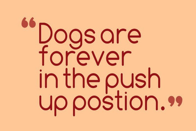 

Posterhouzz Push Up Position Poster Fine Art Print(12 inch X 18 inch, Rolled)