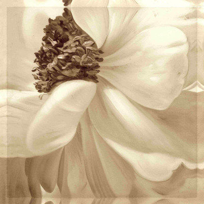 

Posterhouzz Abstract Fine Art Print Poster Fine Art Print(18 inch X 12 inch, Rolled)