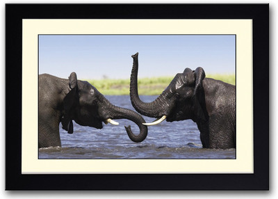 

Two Elephants Bathing Fine Art Print(14 inch X 20 inch, Framed)