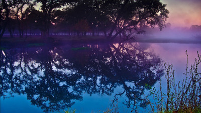 Sebastopol Lagoon Nature Poster Paper Print(12 inch X 18 inch, Rolled)