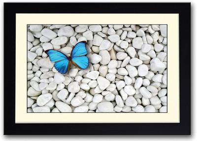

Beautiful Blue Butterfly On White Stones Fine Art Print(14 inch X 20 inch, Framed)