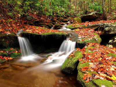 

Posterhouzz Autumn Fine Art Print Poster Fine Art Print(12 inch X 18 inch, Rolled)