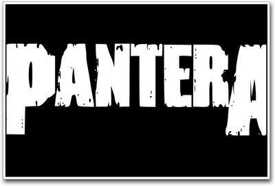 

Pantera Photographic Paper(12 inch X 18 inch)