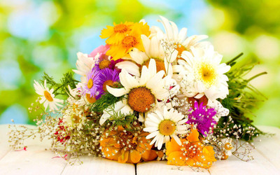 

Posterhouzz Flower Fine Art Print Poster Fine Art Print(12 inch X 18 inch, Rolled)
