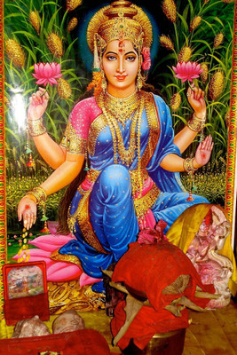 

Divine Lakshmi Blessings Paper Print(18 inch X 12 inch, Rolled)