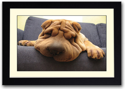 

Cute dog sleeping Fine Art Print(14 inch X 20 inch, Framed)