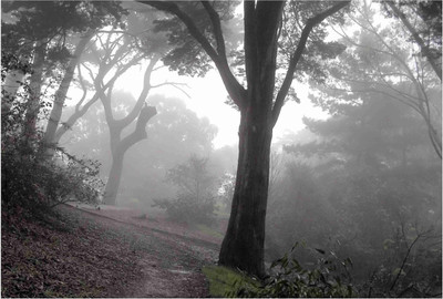 

Nature Paper Print(19 inch X 13 inch, Rolled)