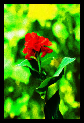 50% OFF on Red and Canvas Art(34 inch X 24 inch)