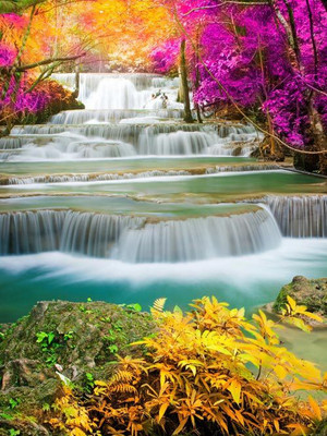 

Nature Fine Art Print(24 inch X 18 inch, Rolled)