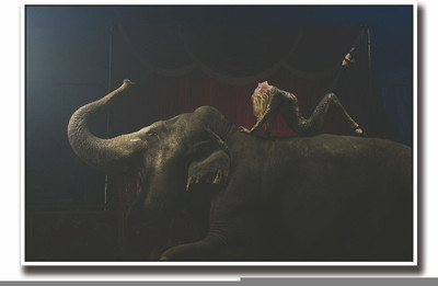 

Posterhouzz Girl on Elephant Fine Art Print(12 inch X 18 inch, Rolled)