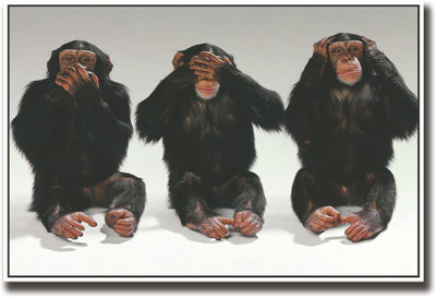 

3 Chimpanzee Fine Art Print(12 inch X 18 inch, Rolled)