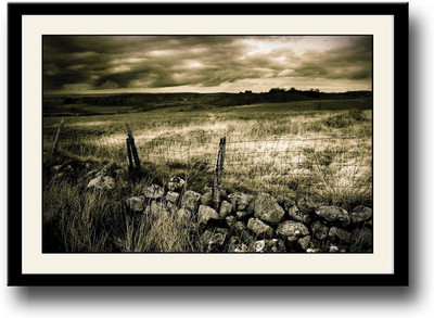 

Barbwire Fine Art Print(10 inch X 14 inch, Framed)