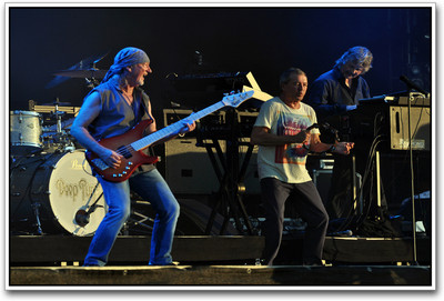 Deep Purple Photographic Paper(12 inch X 18 inch)