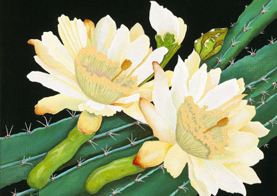 47% OFF on Flowers Paper Print(28 inch X 20 inch, Rolled)