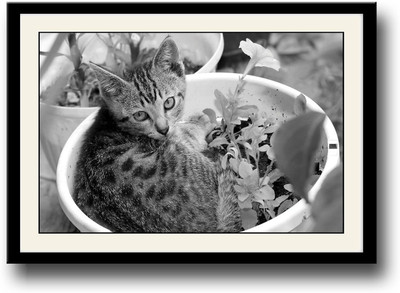 

Small Cat in Flower Pot Fine Art Print(10 inch X 14 inch, Framed)