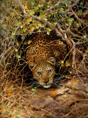 

Posterhouzz Animal Fine Art Print Poster Fine Art Print(18 inch X 12 inch, Rolled)