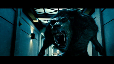 

Akhuratha Poster Movie Underworld: Evolution HD Wallpaper Background Fine Art Print(12 inch X 18 inch, Rolled)