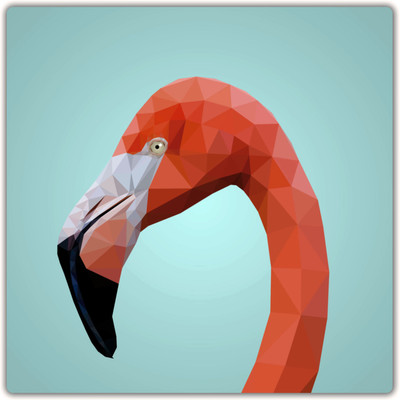 

Flamingo Head Paper Print(12 inch X 12 inch, Hardboard Mounted)