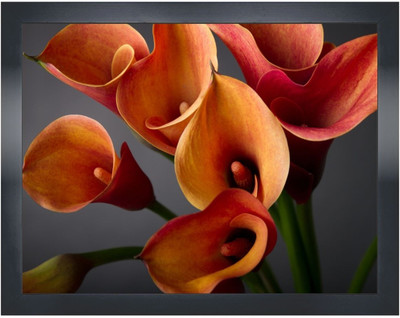 Art Factory Floral CF-1360(22x16) Canvas Art(16 inch X 22 inch)