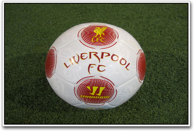 

LP football Paper Print(12 inch X 18 inch)
