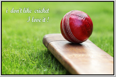 

Posterhouzz Motivational Cricket Poster Poster Fine Art Print(12 inch X 18 inch, Rolled)
