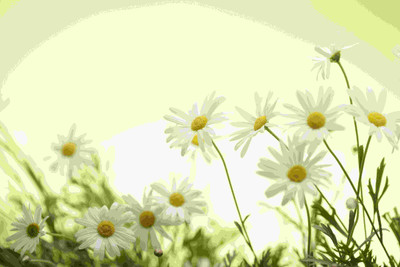 

Posterhouzz Flower Fine Art Print Poster Fine Art Print(12 inch X 18 inch, Rolled)