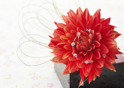 

Posterhouzz Flower Fine Art Print Poster Fine Art Print(12 inch X 18 inch, Rolled)