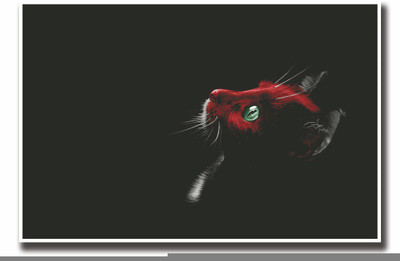 

Posterhouzz Red face cat Fine Art Print(12 inch X 18 inch, Rolled)