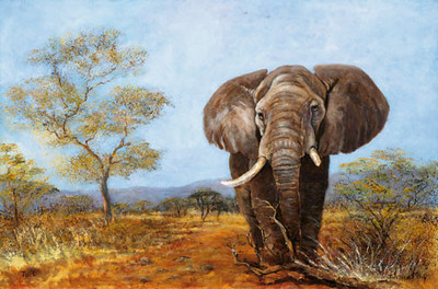 20% OFF on Wild Elephant Canvas Art(18 inch X 24 inch)