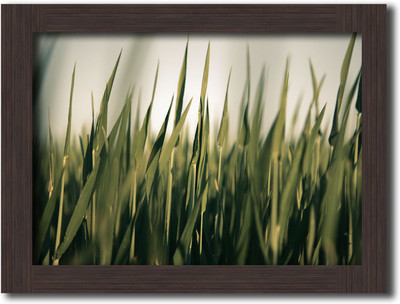 

Nature Themed Poster Frames Paper Print(13.5 inch X 10 inch)