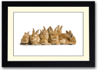 

Bunny Rabbits Fine Art Print(14 inch X 20 inch, Framed)