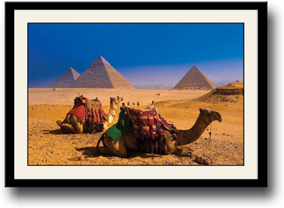 

Camels in Egypt Fine Art Print(10 inch X 14 inch, Framed)