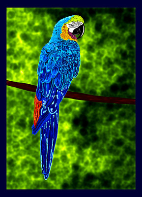 50% OFF on Parrot 03, Paper Print(44 inch X 32 inch)