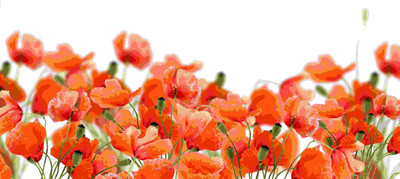

Posterhouzz Flower Fine Art Print Poster Fine Art Print(12 inch X 18 inch, Rolled)
