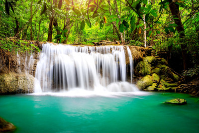 

Oshi - Beautiful Waterfall (2) Paper Print(12 inch X 18 inch, Stretched)