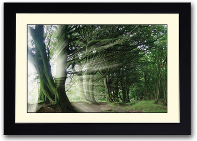 

Sun Rays Coming Through Green Trees Fine Art Print(14 inch X 20 inch, Framed)