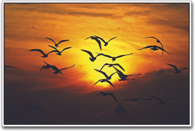 

Bird Flock Paper Print(12 inch X 18 inch)