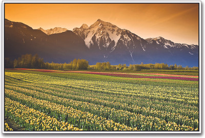 

Beautiful Farm on Foot Hills Paper Print(12 inch X 18 inch)