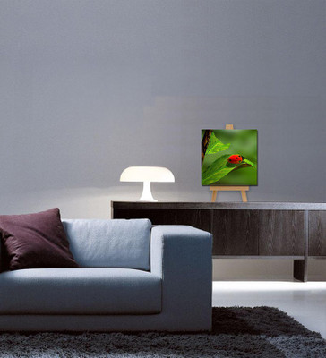 

Tallenge Christmas Collection - Ladybug - Gallery Wrap Canvas Art(7 inch X 7 inch, Stretched)