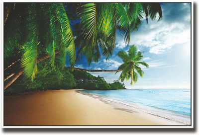 

Coconut trees on the beach Fine Art Print(12 inch X 18 inch, Rolled)