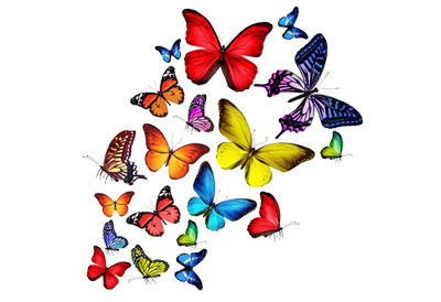 

Art For Kids Room Décor - A Collection Of Brilliant Butterlies - Medium Size Rolled Digital Art Print On Photographic Paper(27 inch X 18 inch, Rolled)