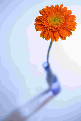 

Posterhouzz Flower Fine Art Print Poster Fine Art Print(18 inch X 12 inch, Rolled)