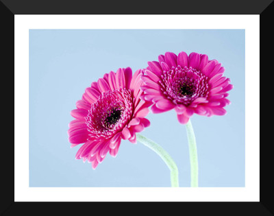 

Tallenge - Twin Pink Flowers - Premium Quality A3 Size Framed Poster Paper Print(17 inch X 12 inch, Framed)