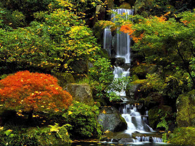 

Posterhouzz Autumn Fine Art Print Poster Fine Art Print(12 inch X 18 inch, Rolled)